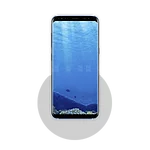 phone